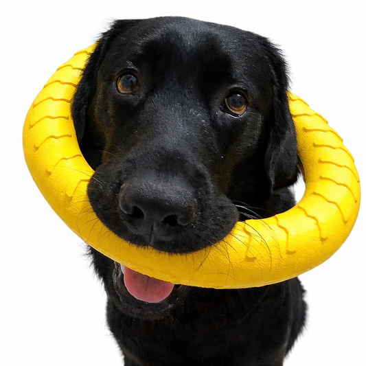 Brinquedo de Borracha para Mastigação de Cães