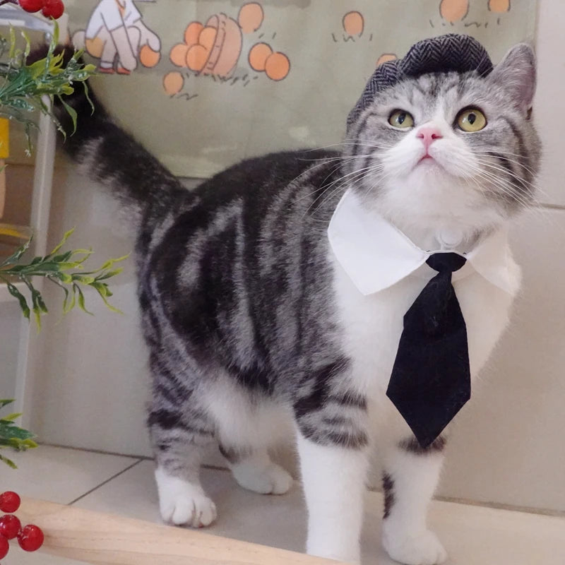 Fantasia de Gangster Elegante para Pet – Chapéu e Gravata para Gatos e Cães