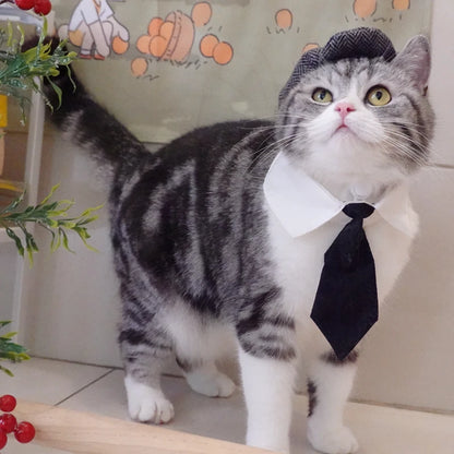 Fantasia de Gangster Elegante para Pet – Chapéu e Gravata para Gatos e Cães