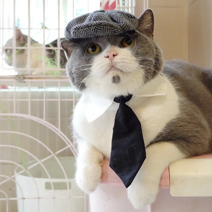 Fantasia de Gangster Elegante para Pet – Chapéu e Gravata para Gatos e Cães