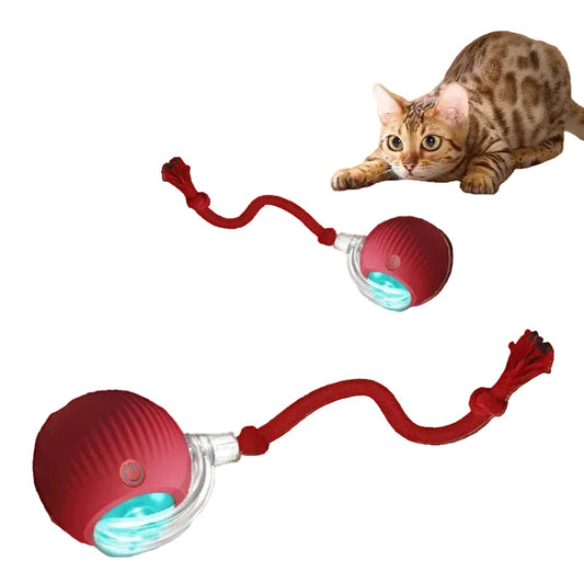Bola Interativa Inteligente para Gatos Recarregável e Antitédio