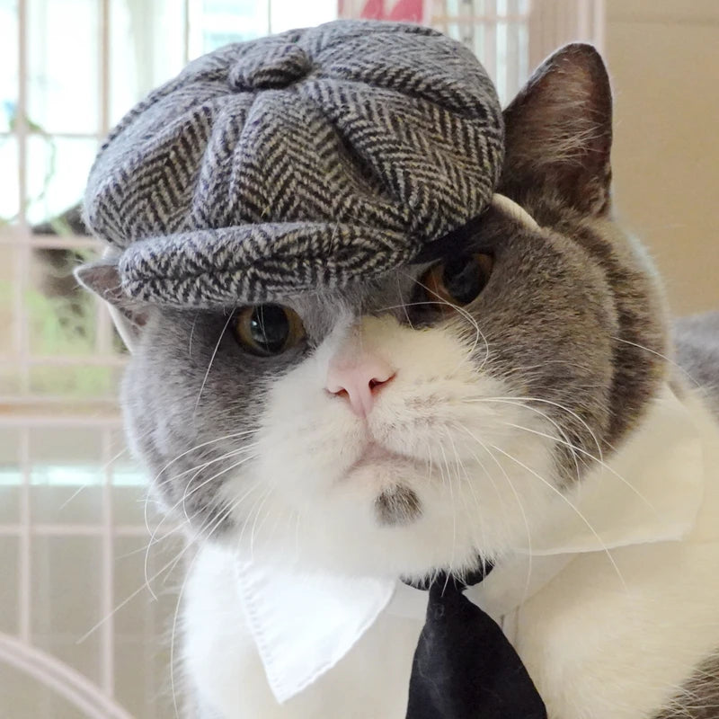 Fantasia de Gangster Elegante para Pet – Chapéu e Gravata para Gatos e Cães