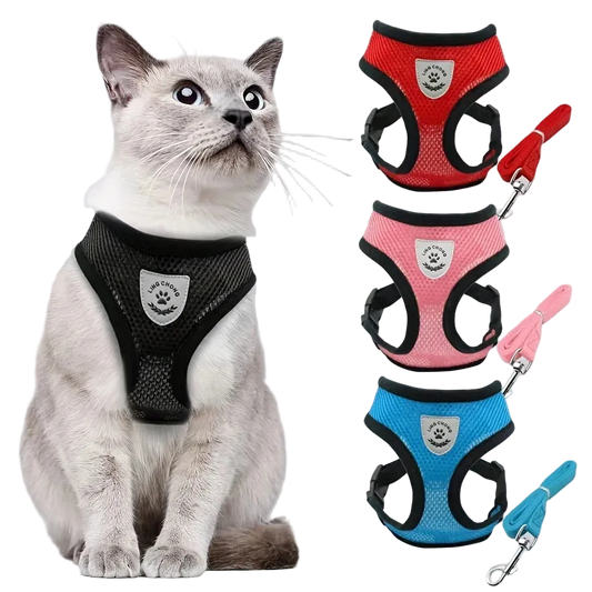 Peitoral Ajustável para Gatos Antifuga