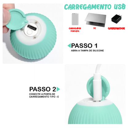 Bola Interativa Antitédio com LED para Pets